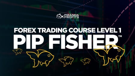 Clickable banner for Pip Fisher forex trading course by Adam Khoo