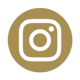 IGIcon
