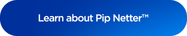 Learn Pip Netter