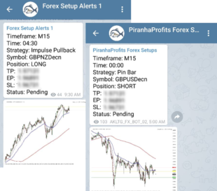 Forex Trading Course Level 1 Pip Fisher - 