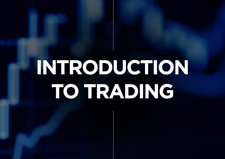 Free Online Trading Course Piranha Profits - 