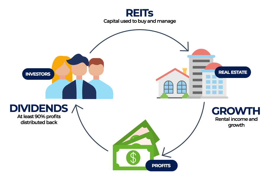 Diagram showing the relationship between REITS, growth and dividends