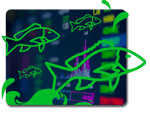 S L2 Image