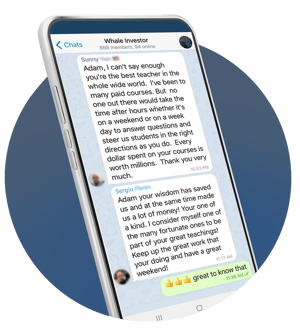 Smartphone showing a chat screenshot from the Whale Investor telegram group
