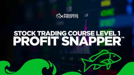 Clickable banner for Profit Snapper stock trading course by Adam Khoo