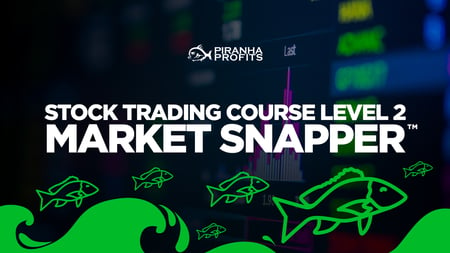 Clickable banner for Market Snapper stock trading course by Adam Khoo