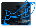 Baer for Whale Investor Value Momentum Investing course
