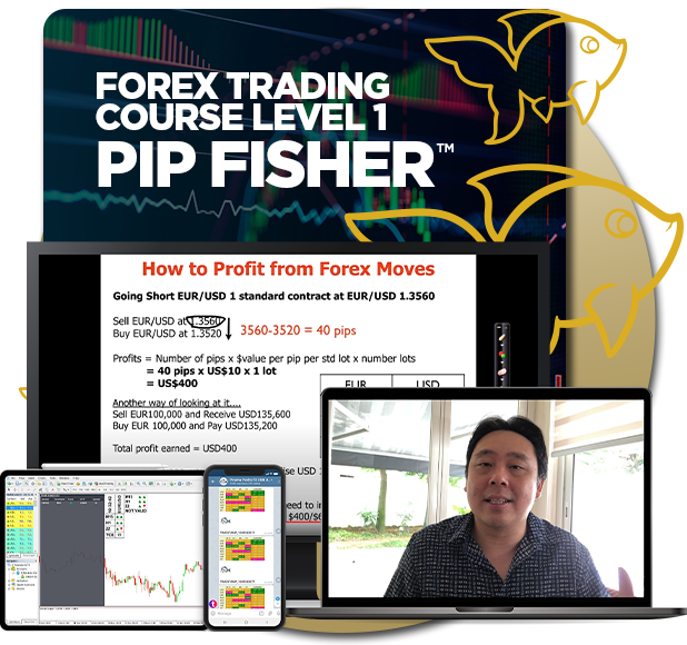 Pip Fisher course - course content on various devices
