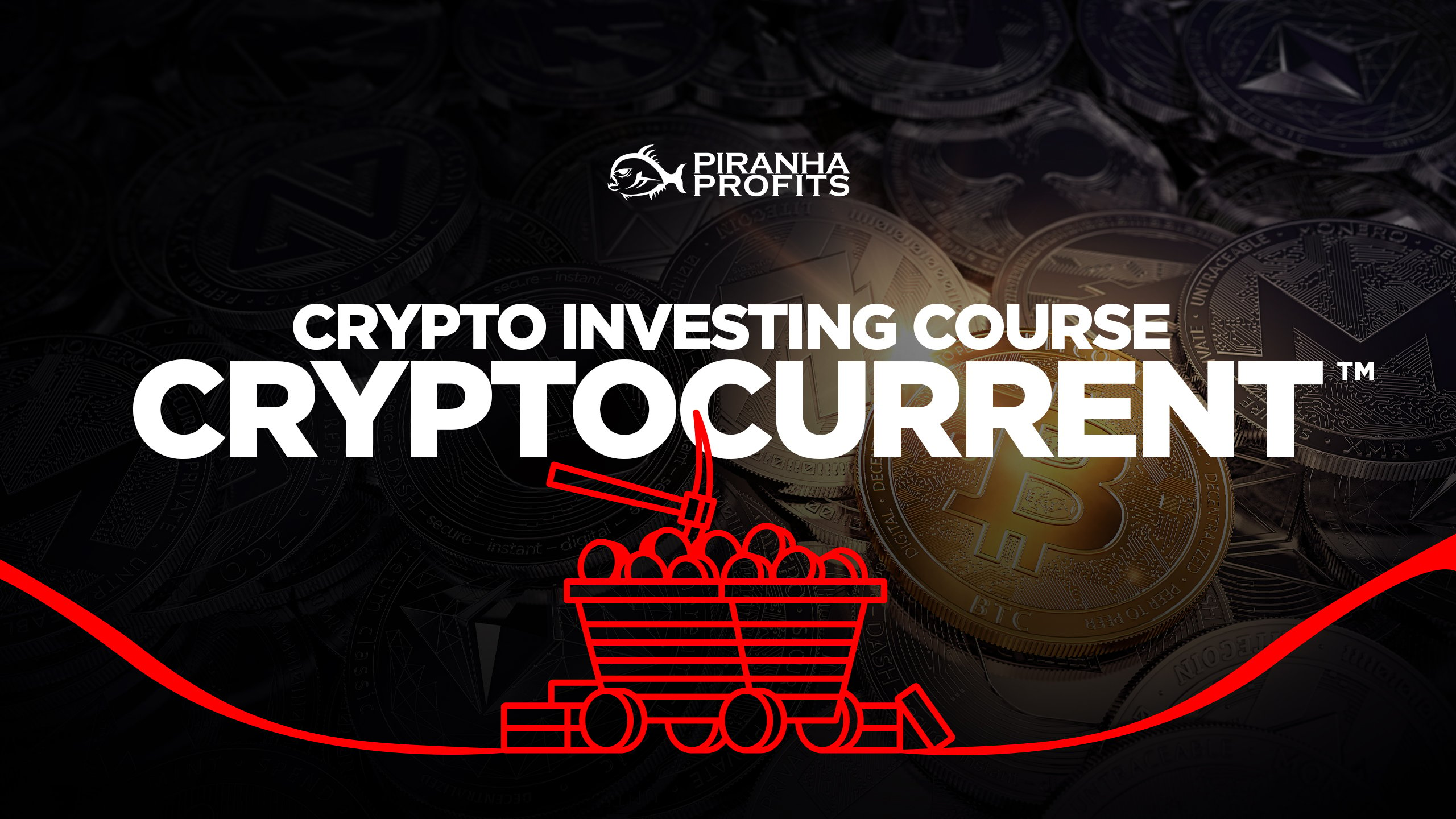 Cryptocurrency investing course banner