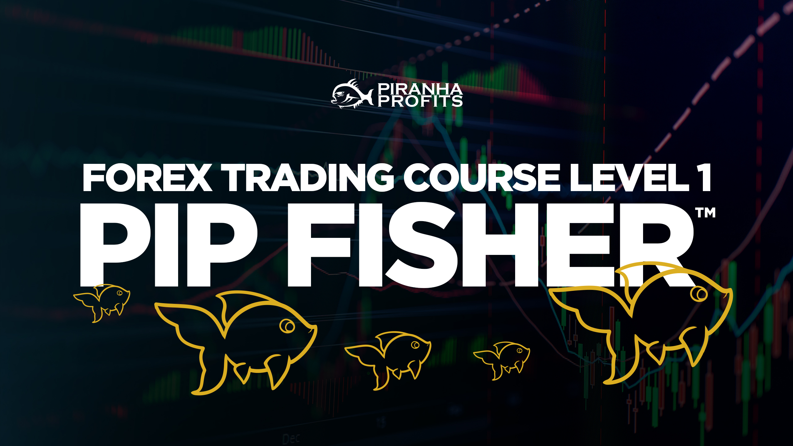 Online forex trading course Level 1 Pip Fisher banner