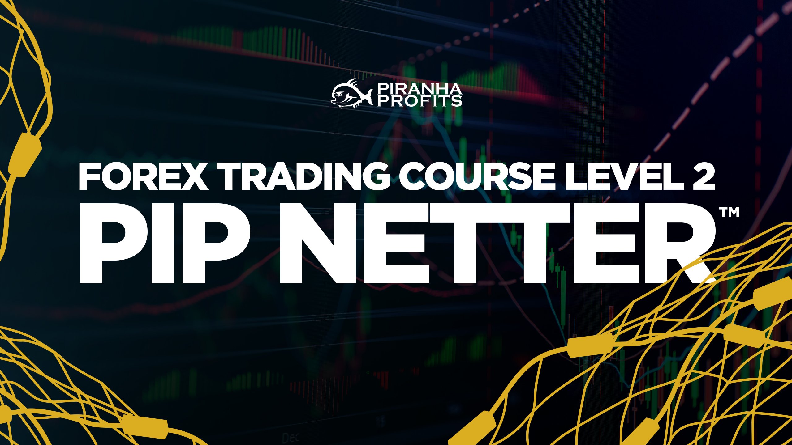 Online forex trading course Level 2 Pip Netter banner