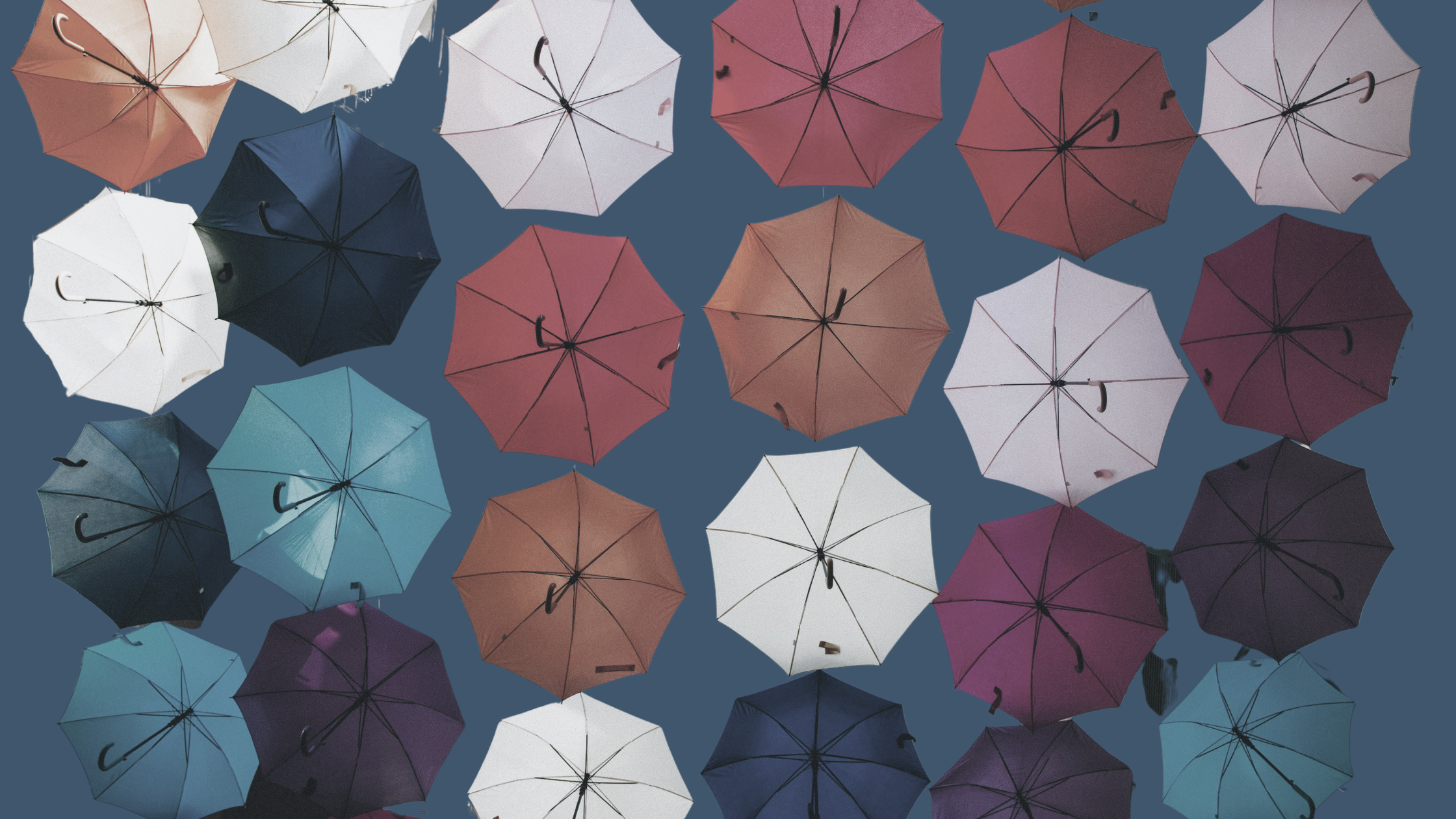 Is Selling Puts Bullish? A Practical Guide for Stock Options Traders