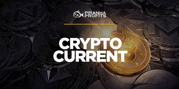 Cryptocurrency Investing Course: Crypto Current™