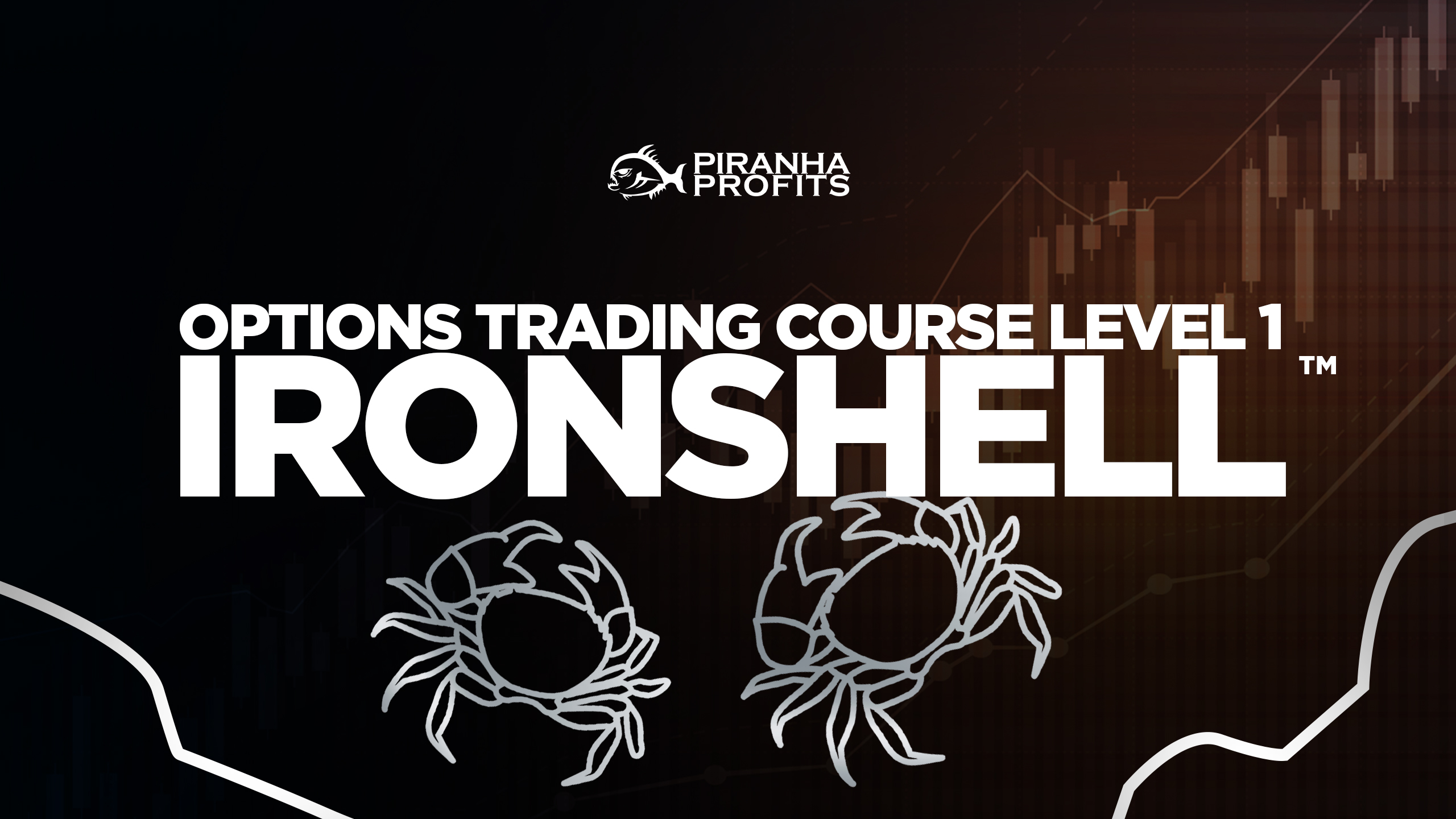 Online options trading course Options Ironshell banner