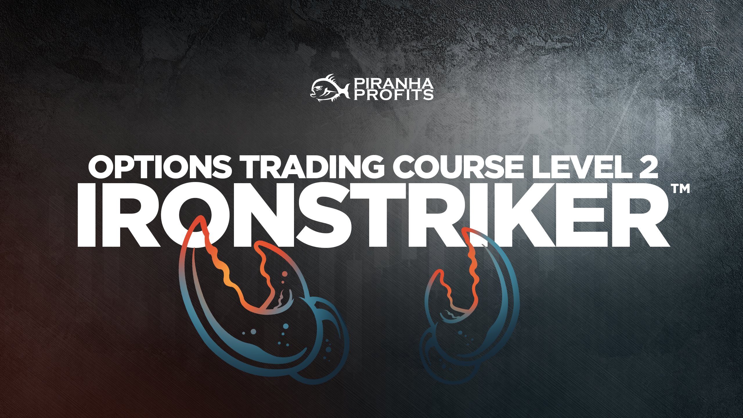Online options trading course Options Ironstriker banner