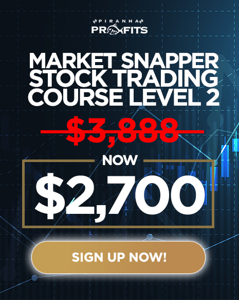 BF Market Snapper