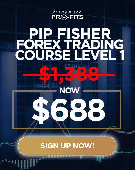 Forex Trading Course Level 1 Pip Fisher - 