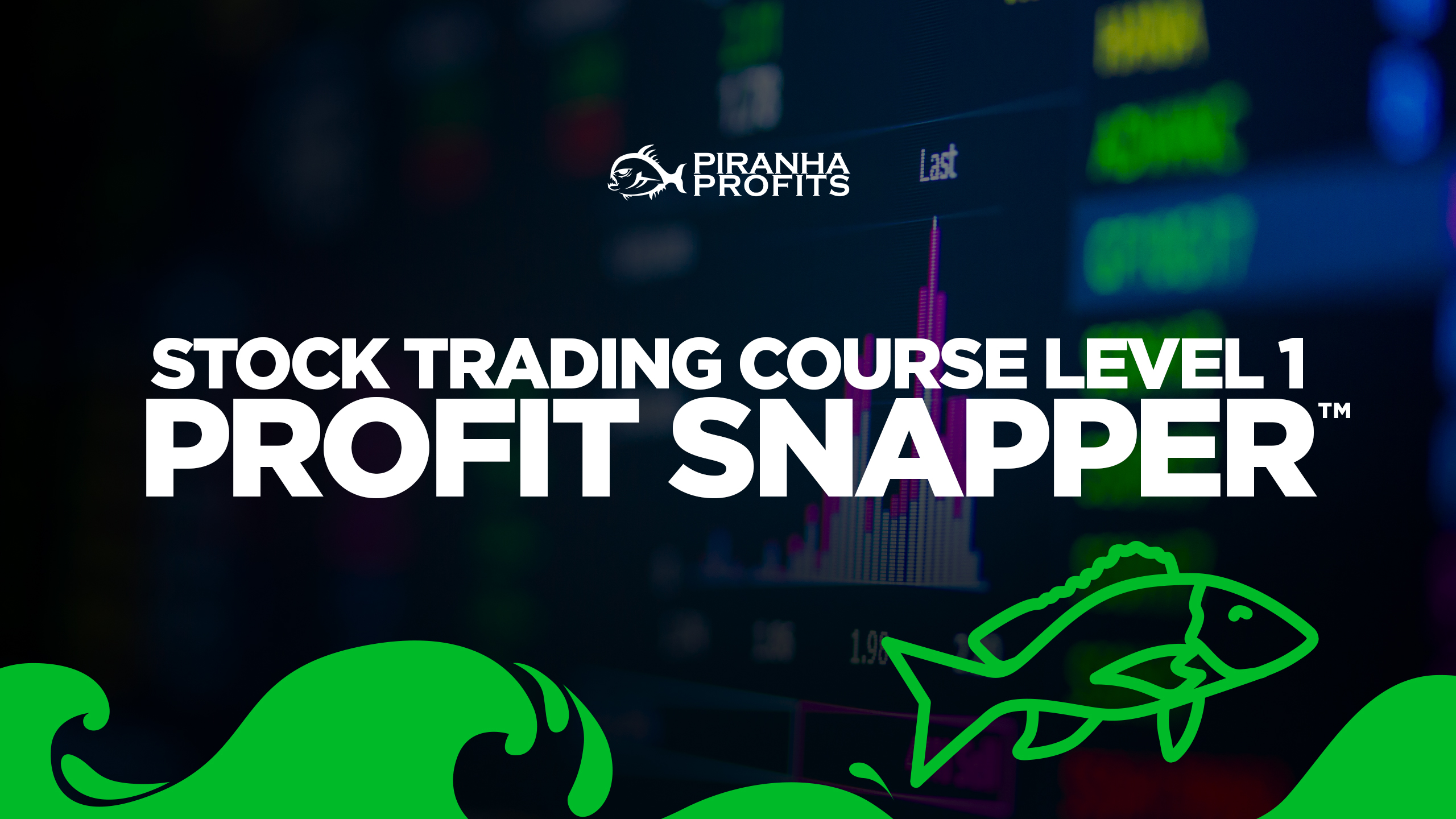 Online Stock Trading Course Level 1 Profit Snapper banner