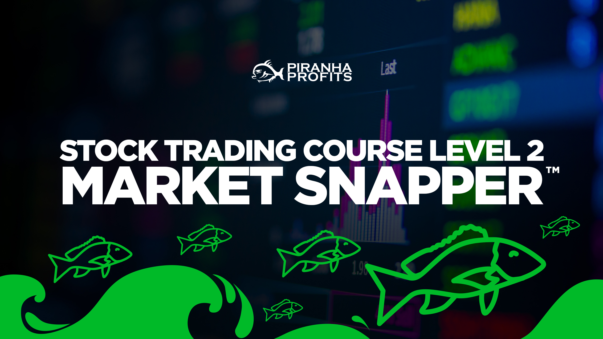 Online Stock Trading Course Level 2 Market Snapper banner