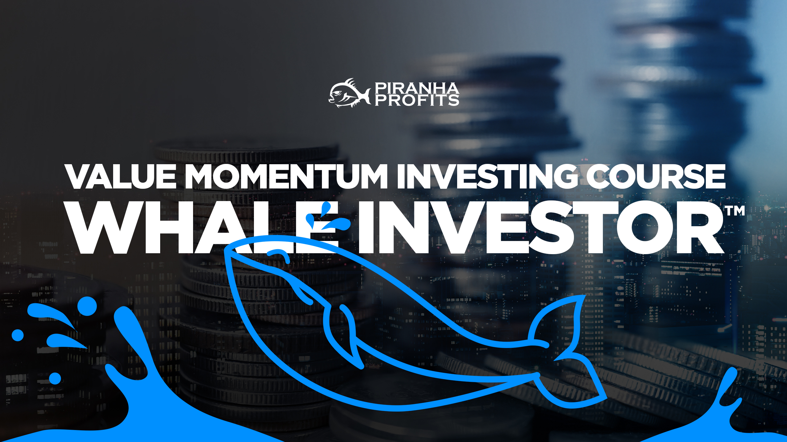 Whale Investor Value Momentum Investing course banner